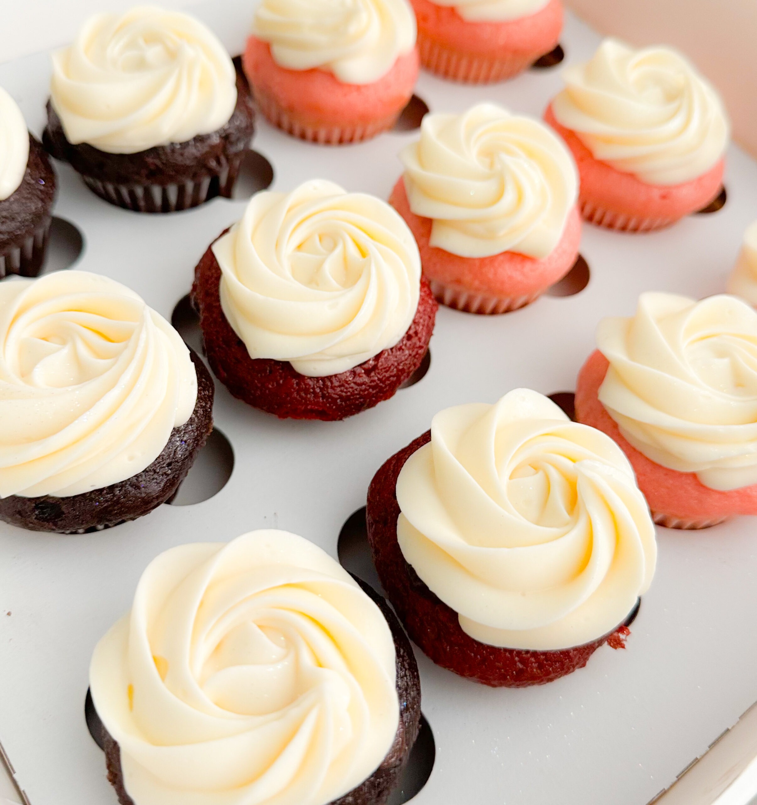 Colorful assortment of cupcakes featuring swirled vanilla frosting